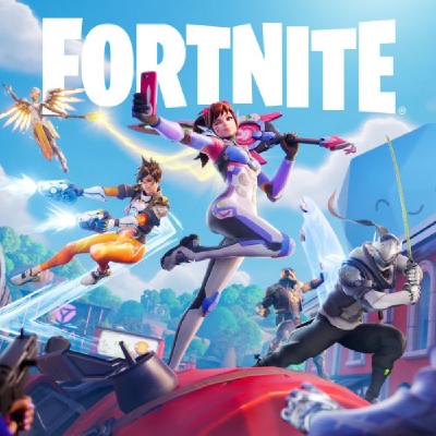 Fortnite - Darkfire & Ice Bundle