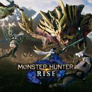 MONSTER HUNTER RISE game cover