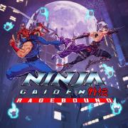 Ninja Gaiden - Ragebound game cover